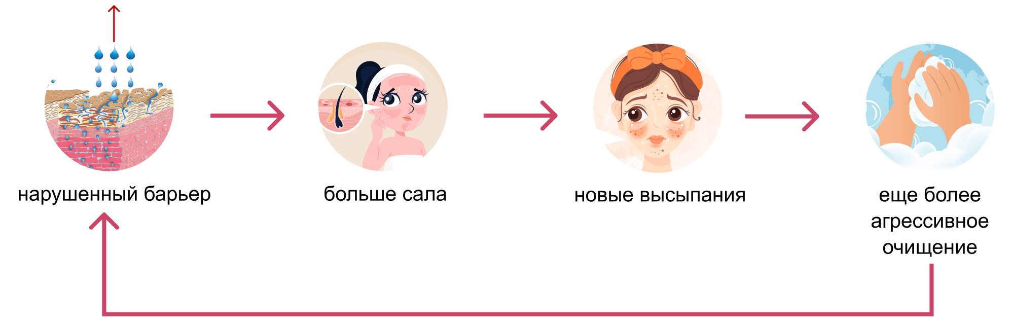 Схема замкнутого круга: нарушенный барьер → больше сала → новые высыпания → еще более агрессивное очищение